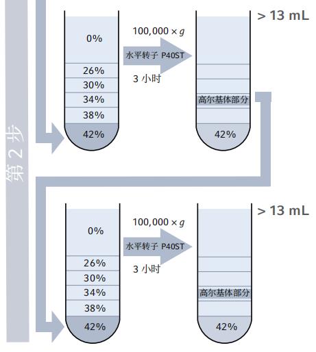 利用密度梯度超速離心法從水稻幼苗中分離和富集高爾基體